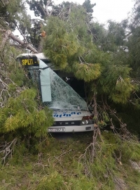 FOTOGALERIJA IZ BAJNICA: Stablo palo na autobus!