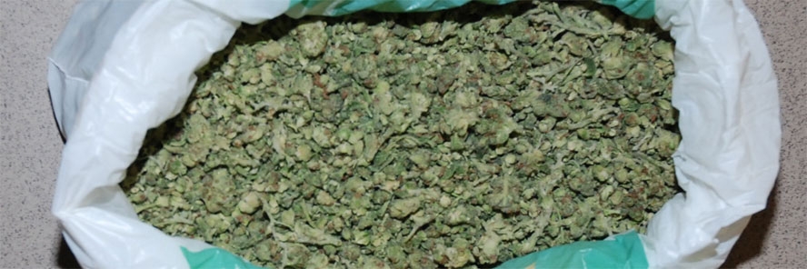 U Sisku i Zagrebu "palo" 100 tisuća kuna marihuane