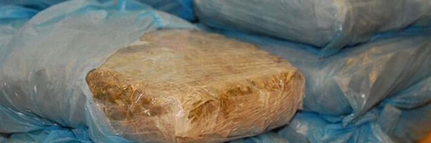 Nova zaplijena droge u Dubrovniku: Upali u policijsku zasjedu sa 63,5 kilograma marihuane